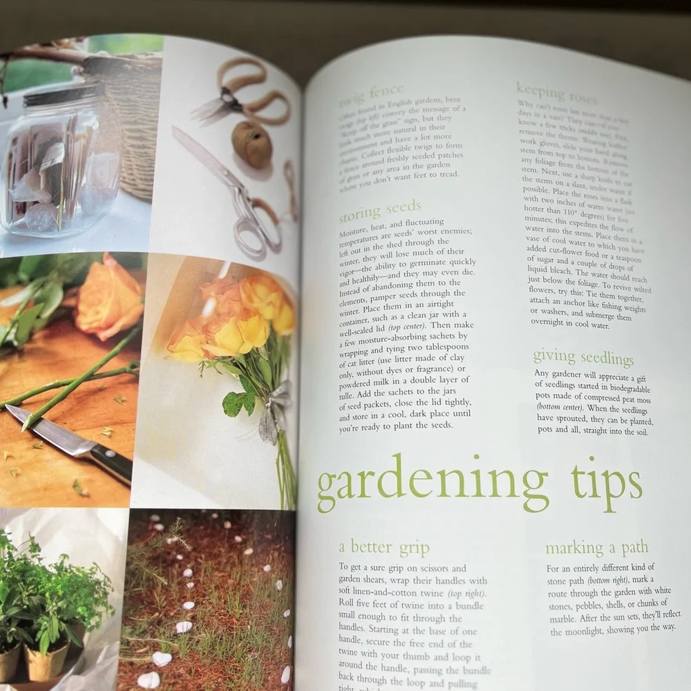Martha Stewart Good Things Cookbook